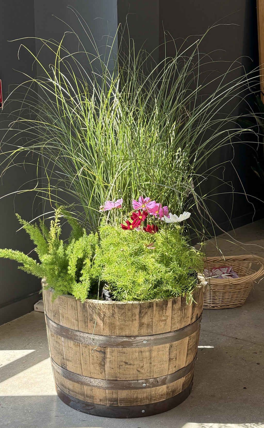 Cleaned Planter