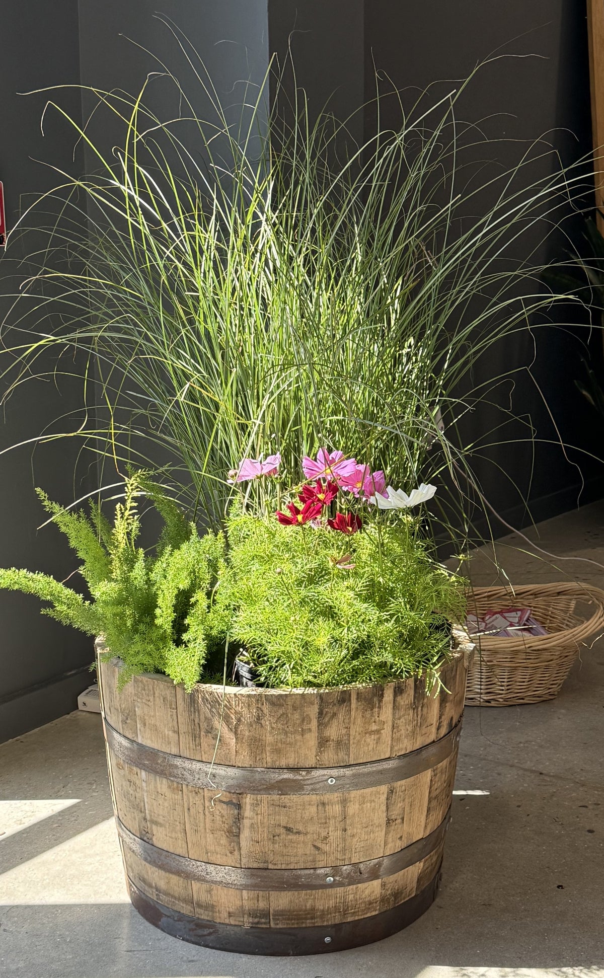 Cleaned Planter