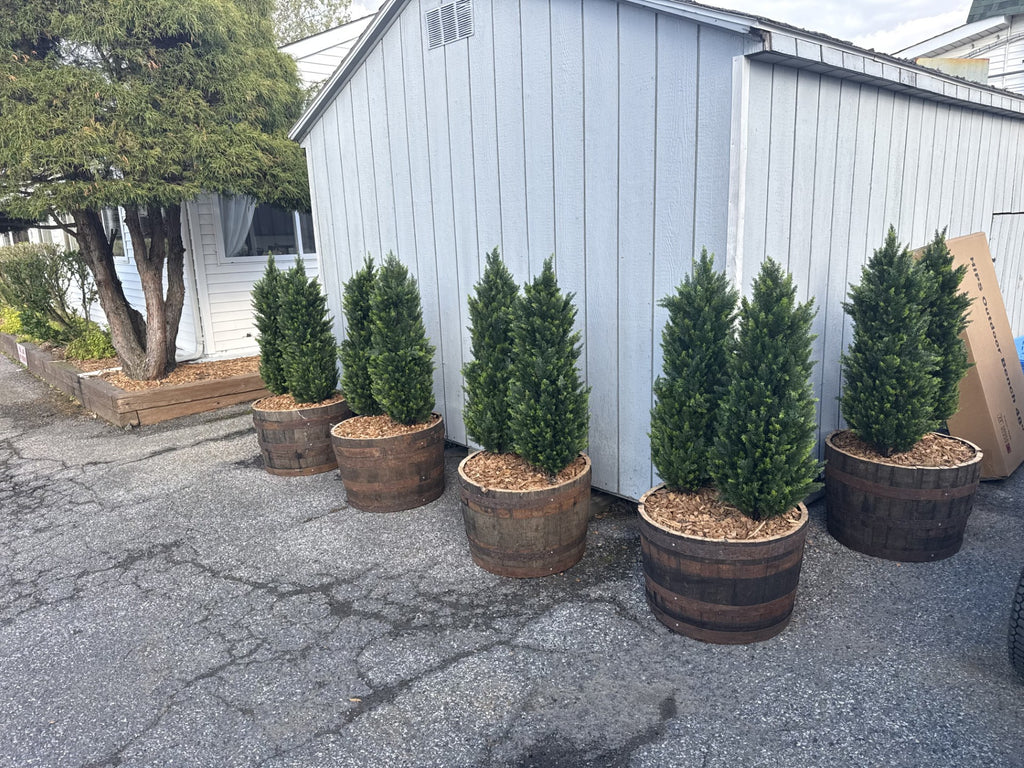 Cleaned Planter