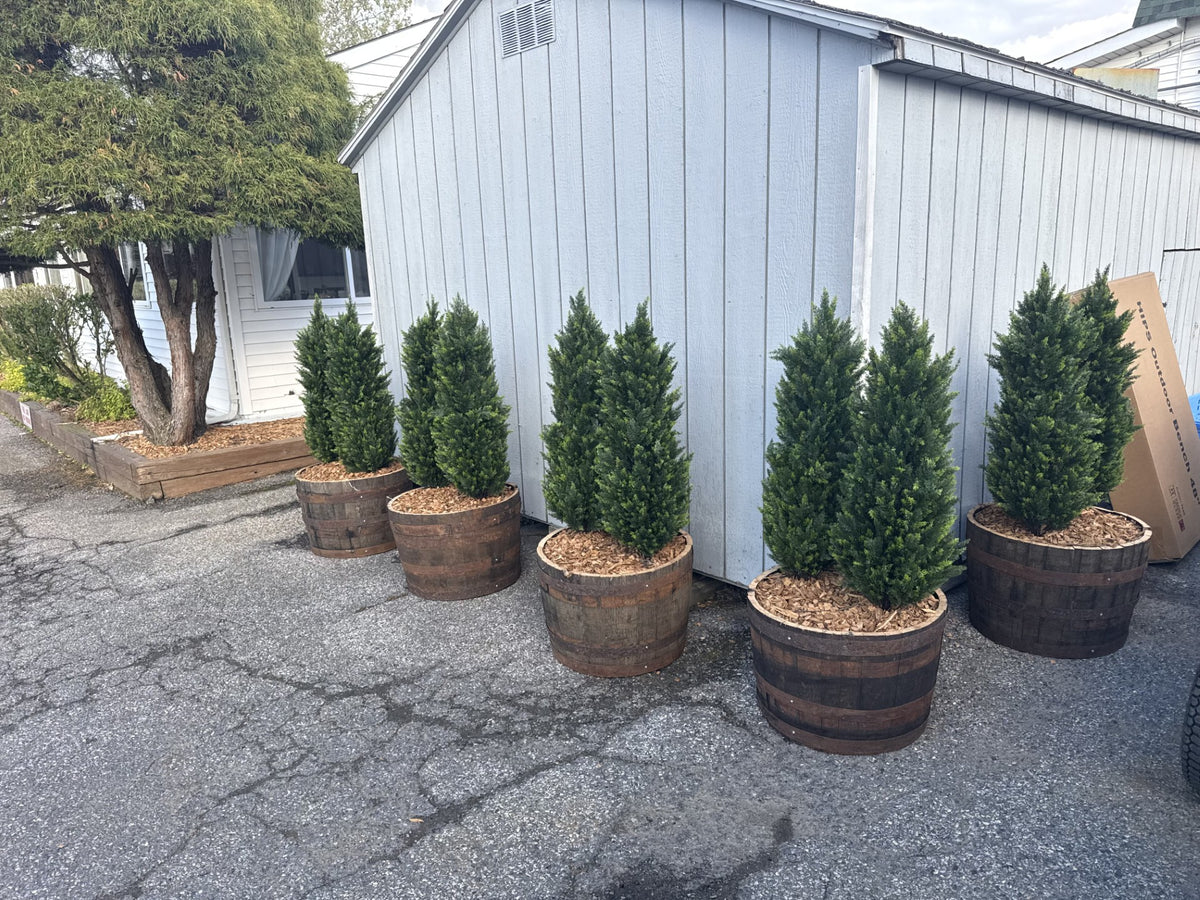 Cleaned Planter